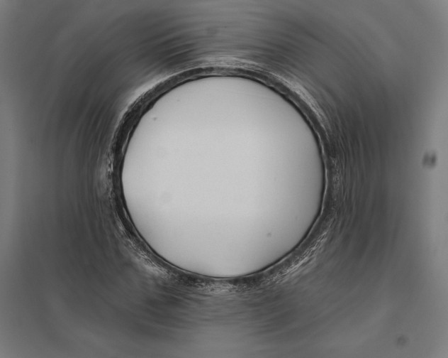 X0000097750971200803281606