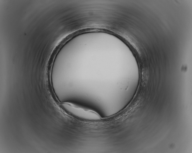 X0000097750972200803281606