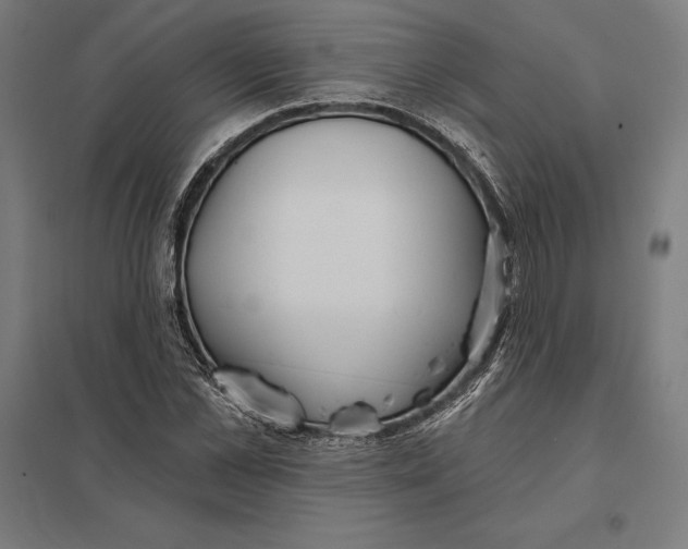 X0000097750973200803281606