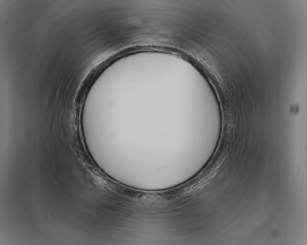 X0000097750974200803281606