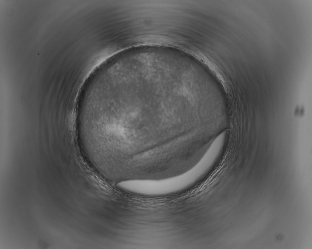 X0000097750975200803281605