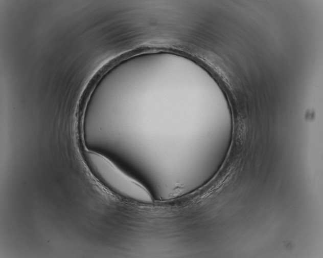 X0000097750976200803281605