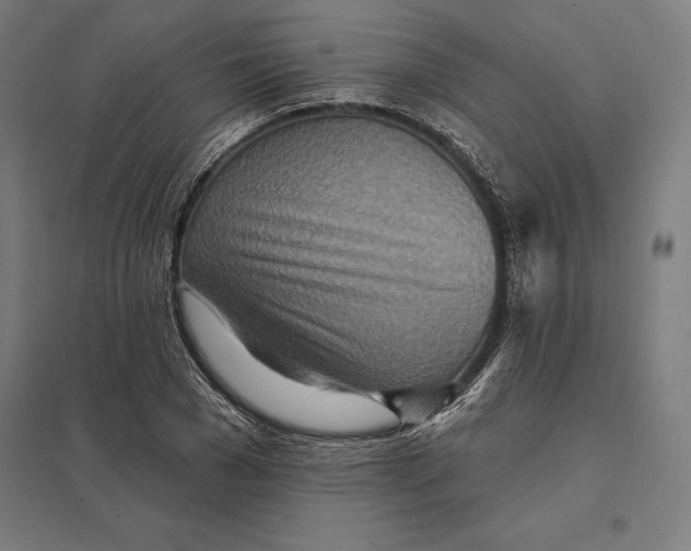 X0000097750977200803281605