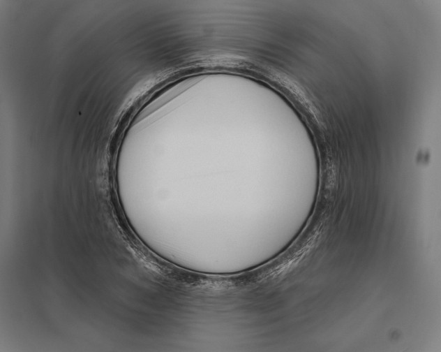 X0000097750978200803281605