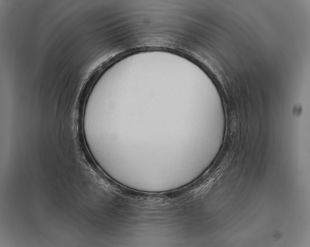 X0000097750979200803281605