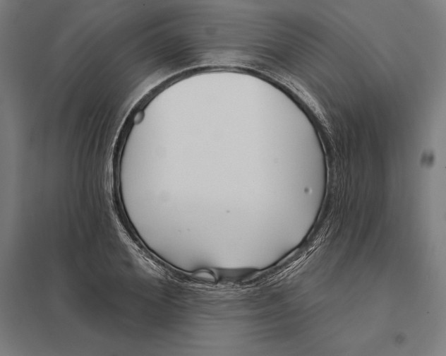 X0000097750980200803281605