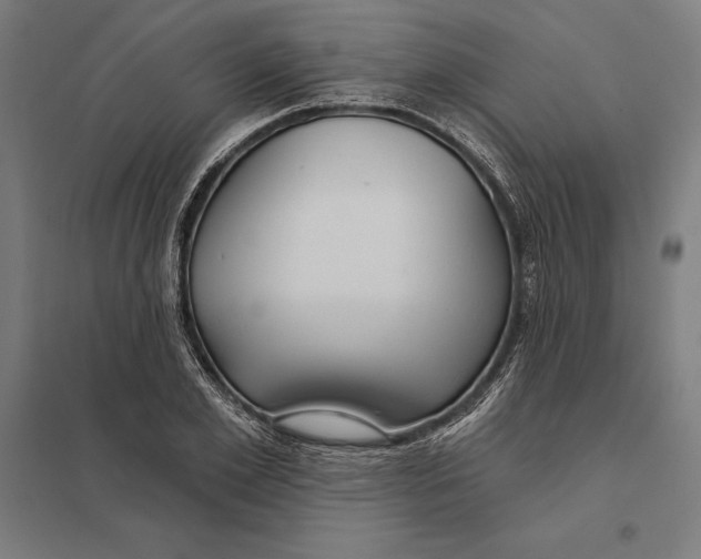 X0000097750981200803281605