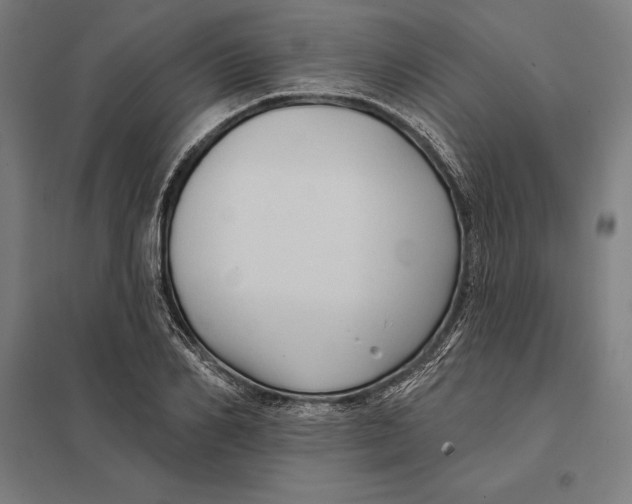 X0000097750982200803281605