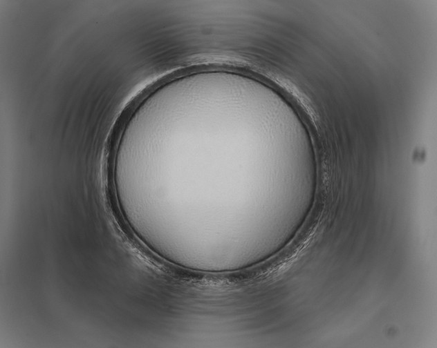 X0000097750983200803281605