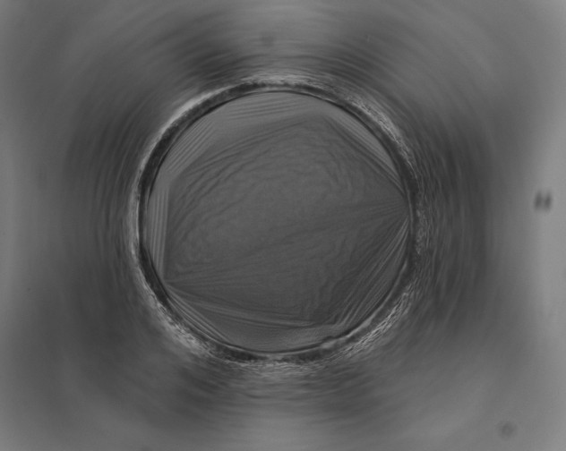 X0000097750984200803281605