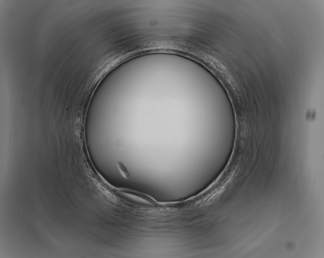 X0000097750985200803281605