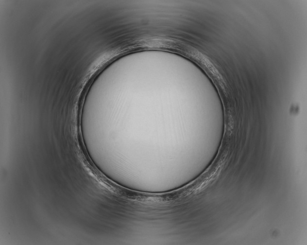 X0000097750986200803281605