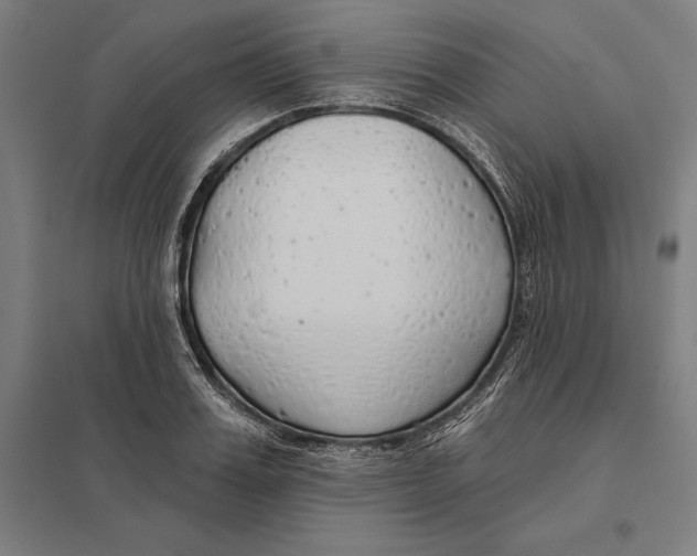 X0000097750987200803281605