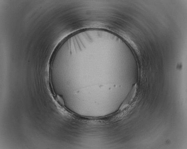 X0000097750988200803281605