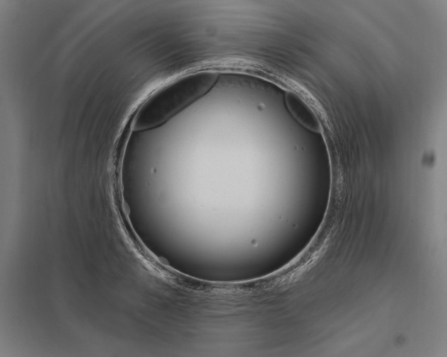 X0000097750989200803281605