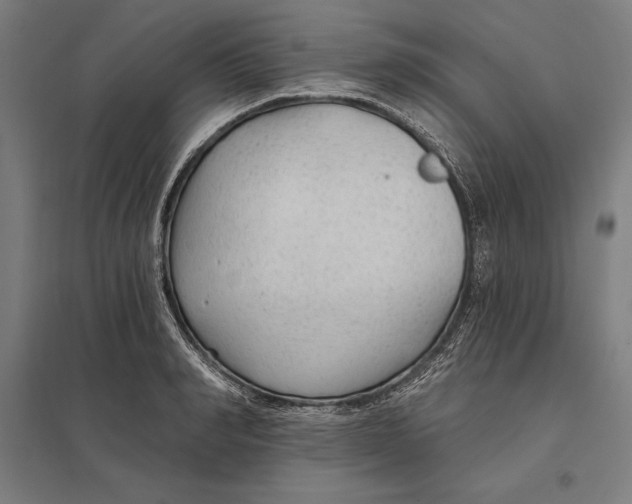 X0000097750990200803281605