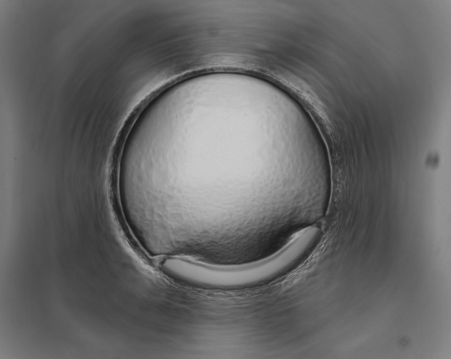 X0000097750991200803281605