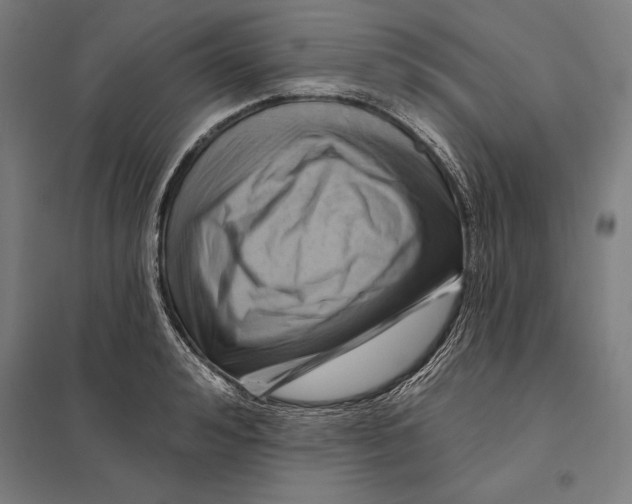 X0000097750992200803281605