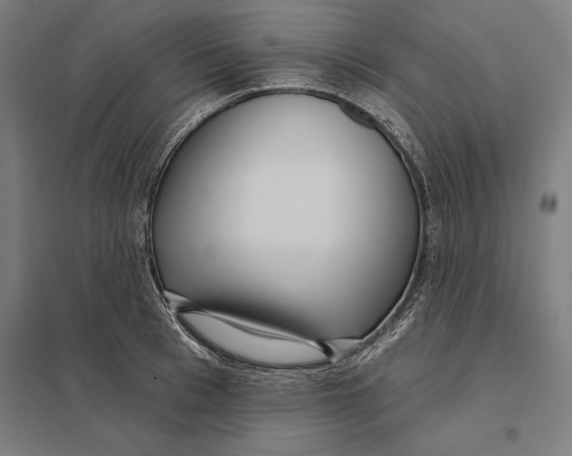 X0000097750993200803281605