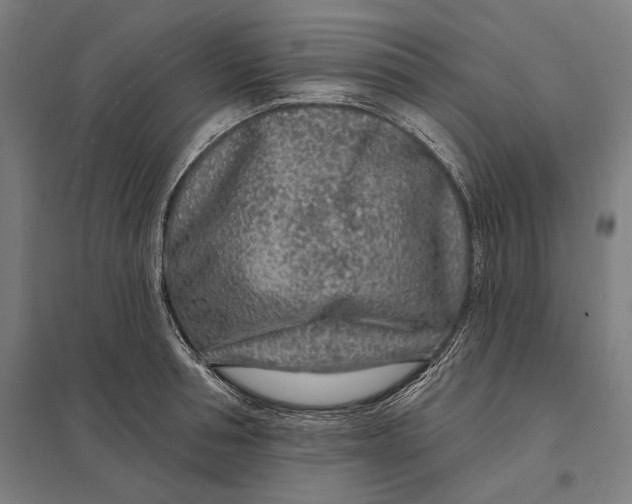 X0000097750994200803281605