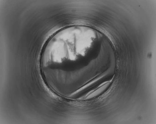 X0000097750995200803281605