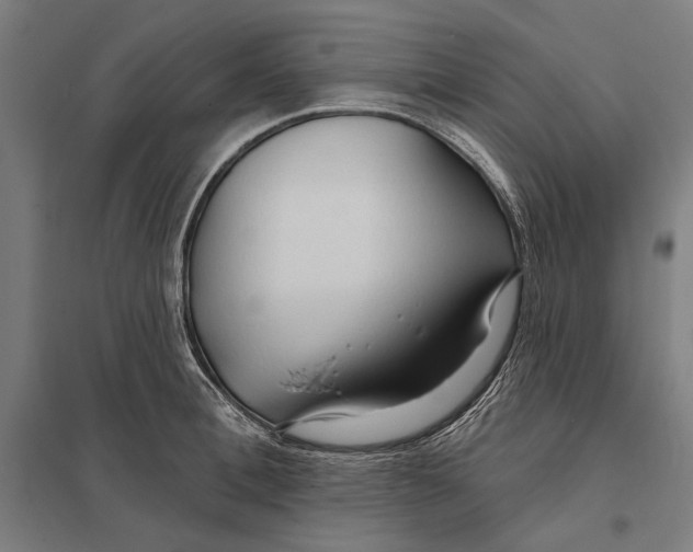 X0000097750996200803281605