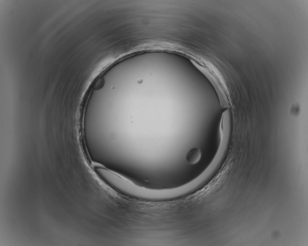 X0000097750997200803281605