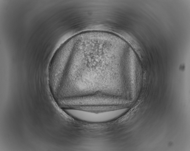 X0000097750998200803281605