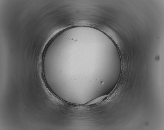 X0000097751000200803281605