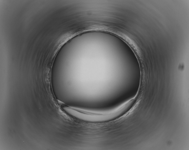 X0000097751001200803281605