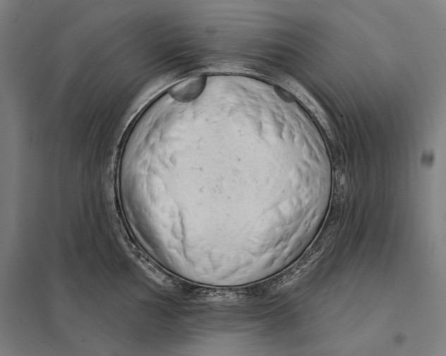 X0000097751002200803281605