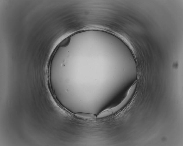 X0000097751003200803281605