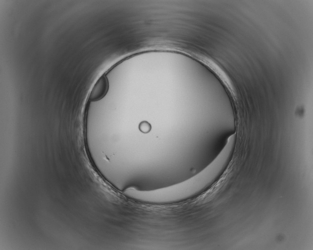 X0000097751004200803281605