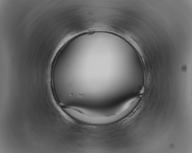 X0000097751005200803281605