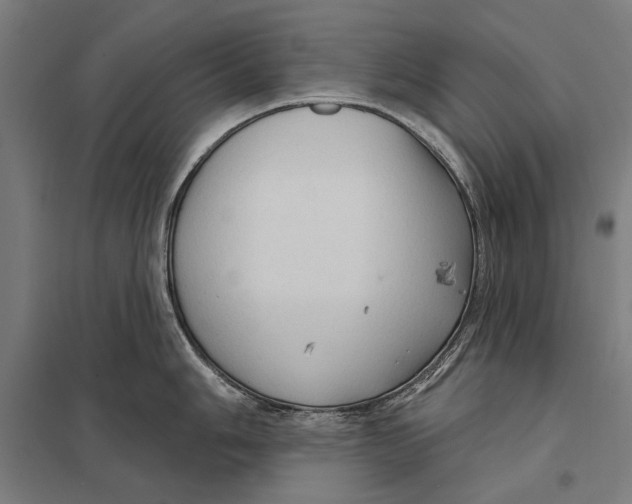 X0000097751006200803281605