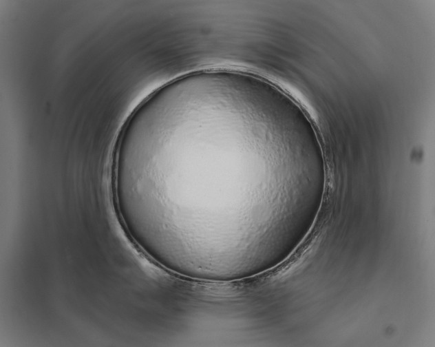 X0000097751007200803281605