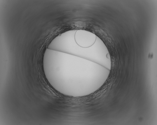 X0000097751009200803281604