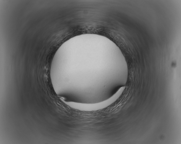 X0000097751010200803281604