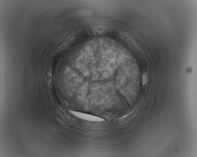 X0000097751011200803281604