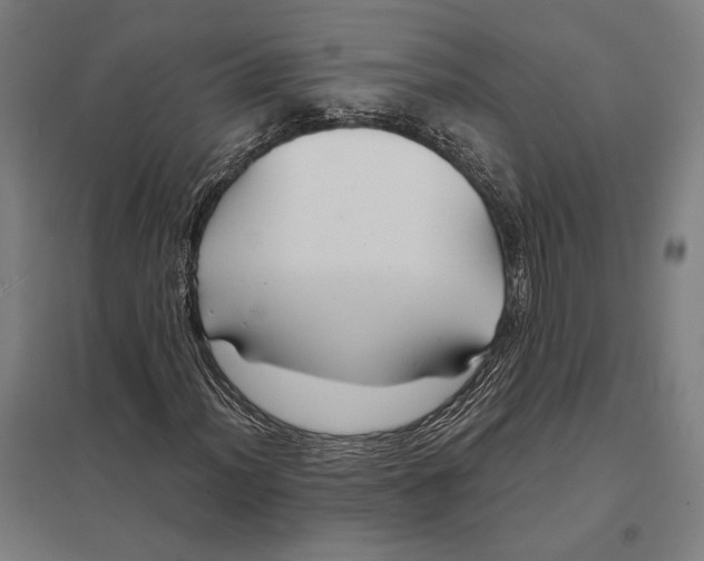 X0000097751012200803281604