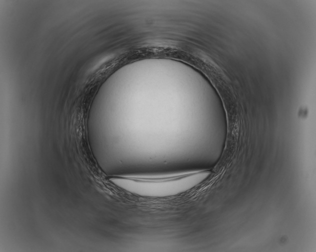 X0000097751014200803281604