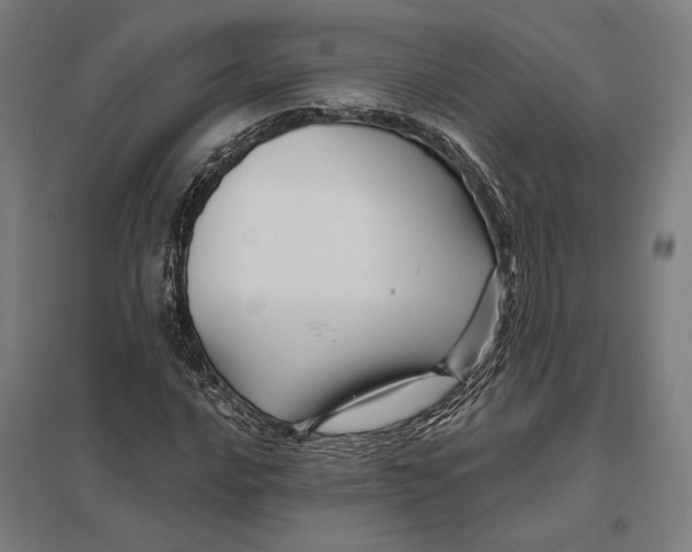 X0000097751016200803281604