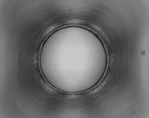 X0000097751017200803281604