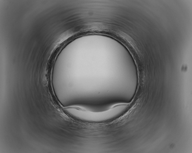 X0000097751018200803281605