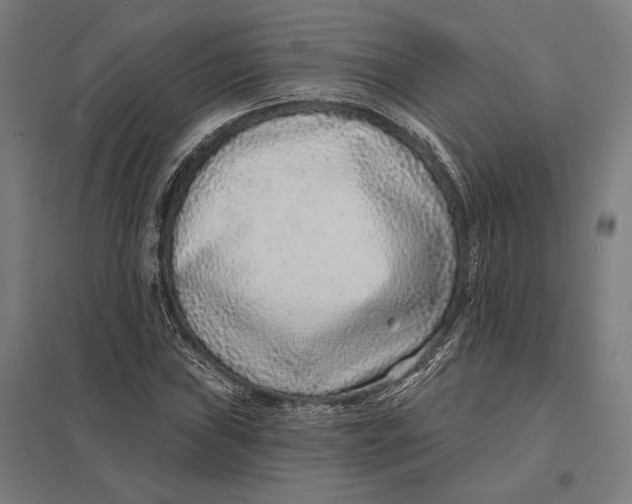 X0000097751019200803281605