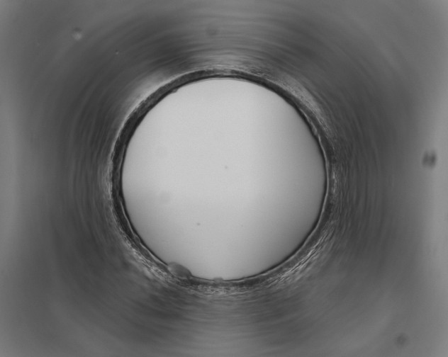 X0000097751020200803281605