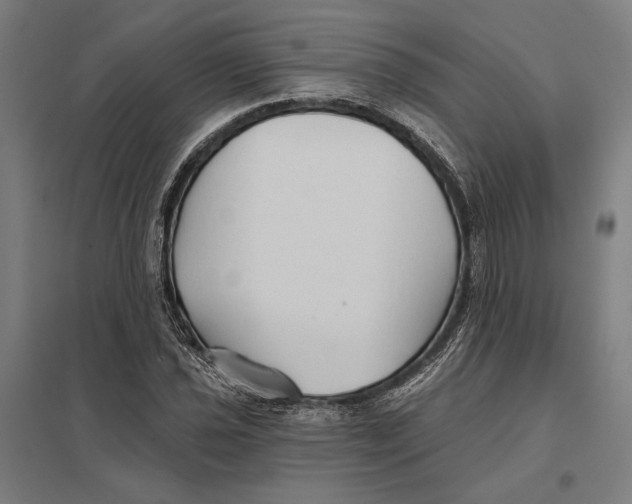 X0000097751021200803281605