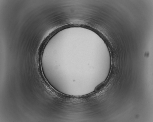 X0000097751022200803281605