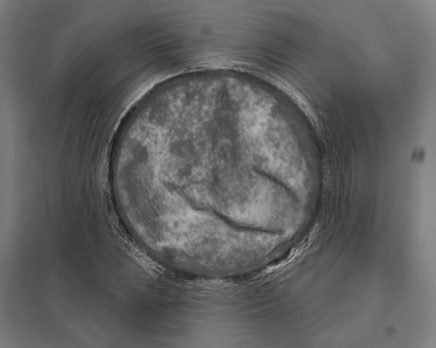 X0000097751023200803281605