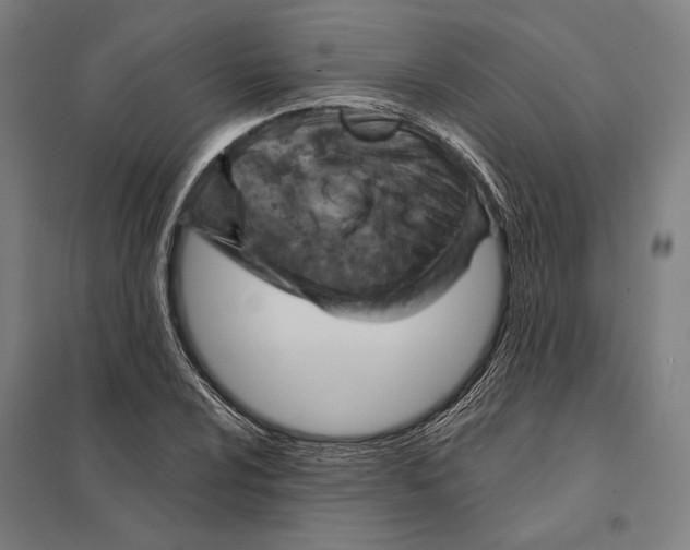 X0000097751024200803281605